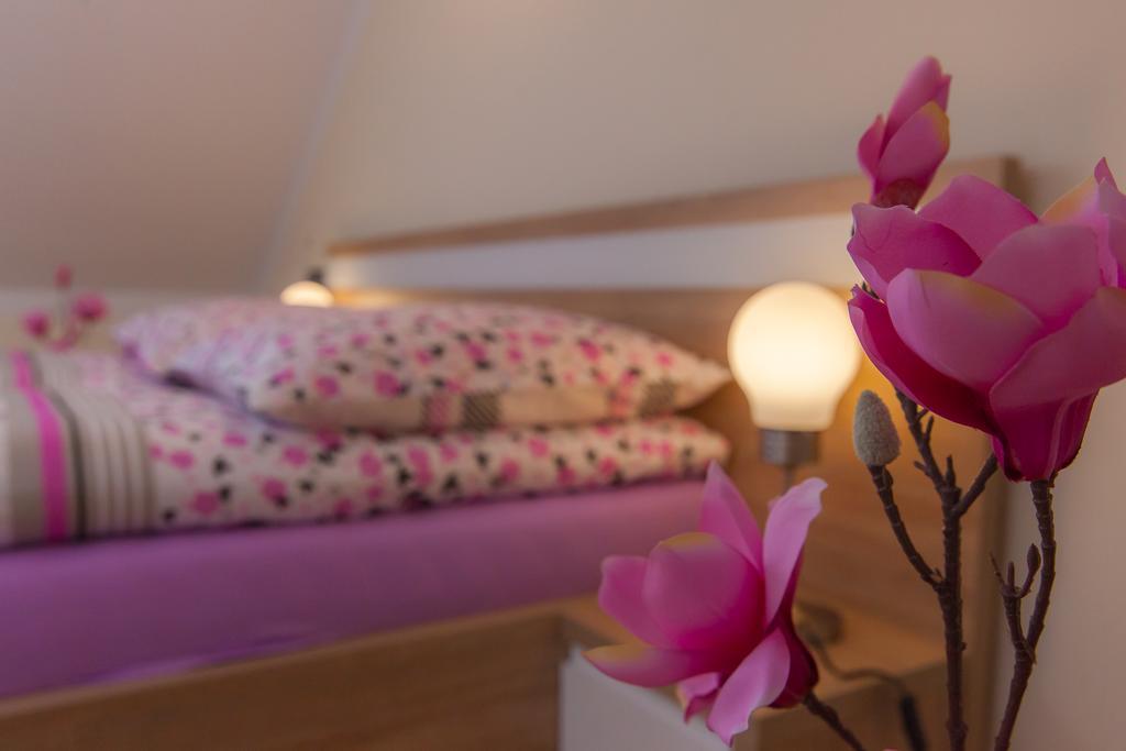 Apartamenty Galeria Jordanowska Eksteriør bilde