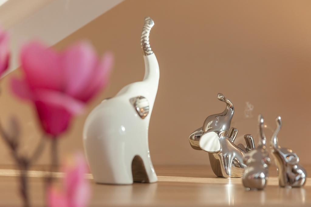 Apartamenty Galeria Jordanowska Eksteriør bilde